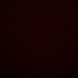 Meet your Posher, Jacqueline